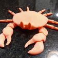 DSC_0259-1.jpg Cute Articulated Crab & Cooking Pot