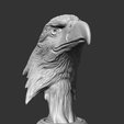 03.png Bald Eagle Head AM07 3D print model