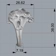 Screenshot_4.jpg Skull ring skeleton jewelry 3D print model