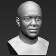 10.jpg Dr Dre bust ready for full color 3D printing