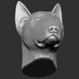 16.jpg Bull Terrier dog for 3D printing