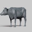 R02.jpg cow pose 01