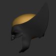 3.jpg Wolverine Helmet