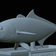 Greater-Amberjack-statue-50.png fish greater amberjack / Seriola dumerili statue detailed texture for 3d printing