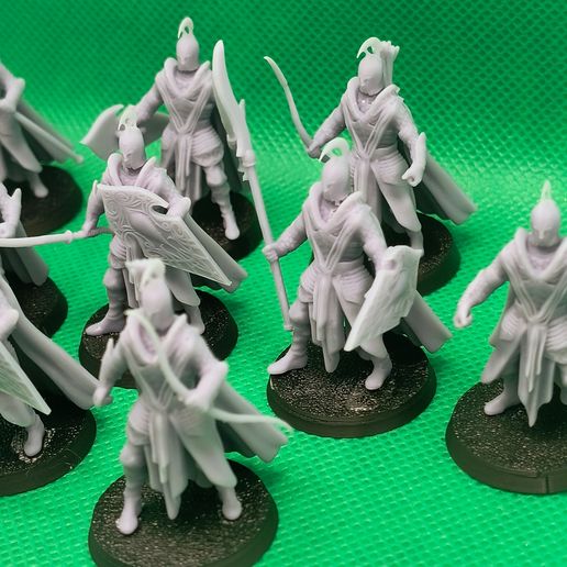 1000008926.jpg Escuadra de Elfos Nobles