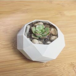 lowpolyplanter.JPG OBJ file Lowpoly Planter・3D print design to download