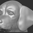 15.jpg Puppy of Pointer dog head for 3D printing