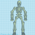 esqueleto.png скелет