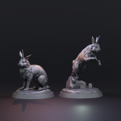 ZAJEDNO2FS2.png Almiraj Bunnycorn 1 inch base Pre-supported - two variations