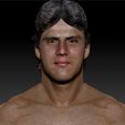 JoseCanseco_0011_Layer 1.jpg Jose Canseco several 3d busts