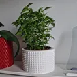 IMG_20220219_102246_725.jpg Vase Pot Planter Cachepot 2