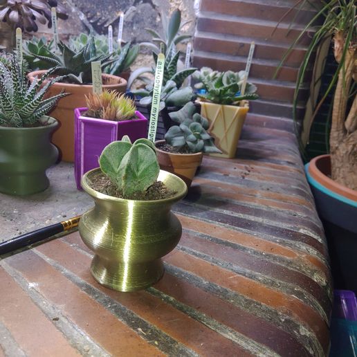 Abstract flower pot 2 3D model