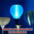 Pp1000270.jpg Cool Lamp Shade