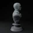 7.png Breaking Bad Complete Premium 3D Bust Pack STL