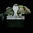 Bass-trophy-19.png Largemouth Bass / Micropterus salmoides fish in motion trophy statue detailed texture for 3d printing