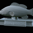 Dusky-grouper-41.png fish dusky grouper / Epinephelus marginatus statue detailed texture for 3d printing