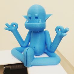 IMG_5543.JPG Free STL file Zen Goblin・3D print design to download