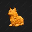 713-Australian_Terrier_Pose_09.jpg Australian Terrier Dog 3D Print Model Pose 09