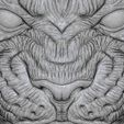 70.jpg Lion Head