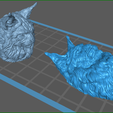screenShot_400K_Maine_Coon_head_on_the_wall.png Maine Coon head