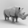 untitled.37.jpg Rhinoceros