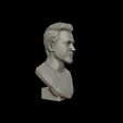 23.jpg Robert Downey 3D portrait sculpture