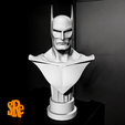 Photoroom-20250112_210714.png Batman Bust