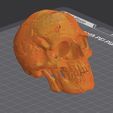 6.jpg scull