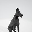 ckkats.jpg Doberman Doberman