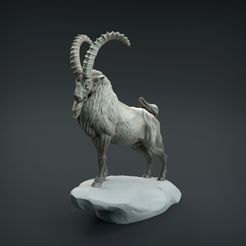 Siberian_ibex_1.jpg Archivo 3D Ibex siberiano・Modelo de impresión 3D para descargar