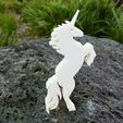 unicorn_4_display_large.jpg Unicorn - Stands Up (Balanced by Tail)