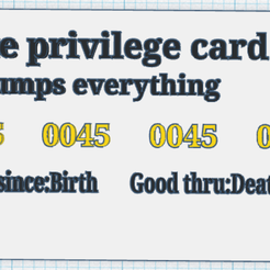 Screenshot-2024-04-23-201807.png Privilege Card