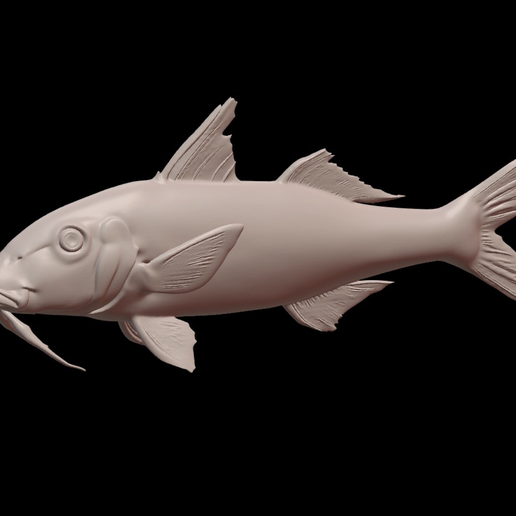 Red Sea Goatfish – 3D Printable Model
