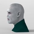 untitled.312.jpg Lord Voldemort bust ready for full color 3D printing