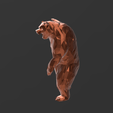 Screenshot_13.png Low Poly - Angry Bear Magnificent Design