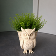 47393166-2eb4-42b1-9375-bdace64611d9.png Cute Owl Planter. With commercial license