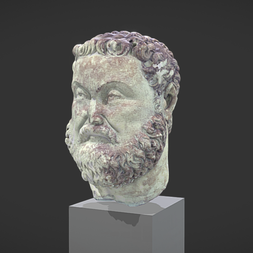 Head of Maximian Hercules