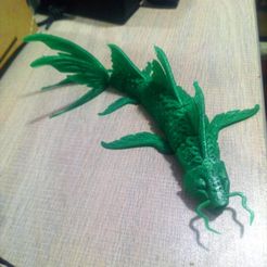 JAPANISCHER KARPFEN, GELENK-KOI