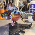 20260414_180531.jpg Super Thunfisch
