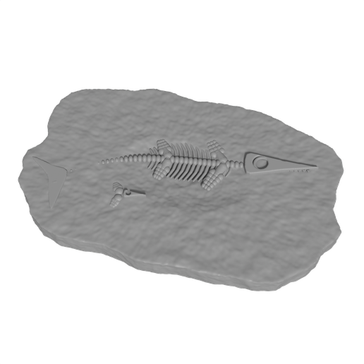 Ichthyosaur Mother and Baby Fossil Plaque - Relief Slab
