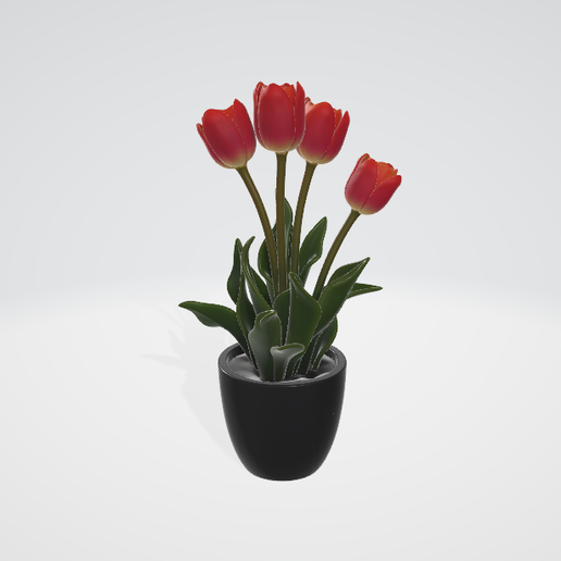 Tulips - 3D model önizlemesi