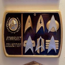 IMG_1670.jpeg Free STL file Starfleet 1 Plaque / Sign・3D printable design to download