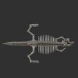 微信图片_20230509122920.jpg STL file Fully Articulated Dinosaur Skeleton Model・Design to download and 3D print