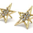 2.jpg Women fashion Star Diamond Tops 3d Printable Model