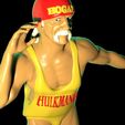 hogan.376.jpg Hulk Hogan