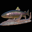 pstruh-klacky-1-20.png rainbow trout 2.0 underwater statue detailed texture for 3d printing