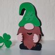 20230224_134200.jpg ST. PATRICK'S DAY GNOME COMBO PACK