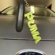 IMG-20230419-WA0003.jpg Ford Puma Keychain