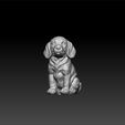 dog-1.jpg Cute dog - puppy - toy for kids - amazing dog -decorative dog