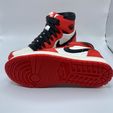 IMG_3831.jpg Nike Air Jordan Colorized MMU Multi Material